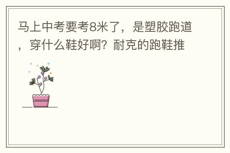 馬上中考要考8米了，是塑膠跑道，穿什么鞋好啊？耐克的跑鞋推薦一款