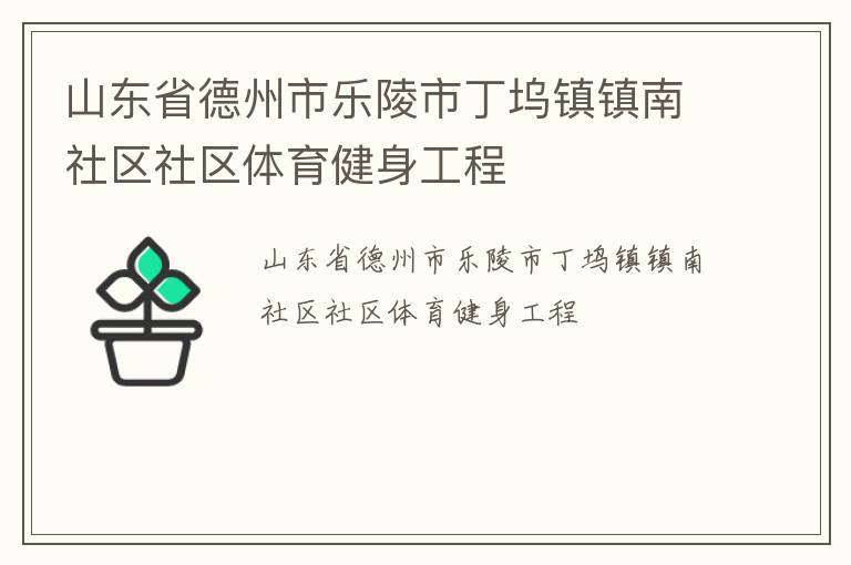 山東省德州市樂陵市丁塢鎮(zhèn)鎮(zhèn)南社區(qū)社區(qū)體育健身工程