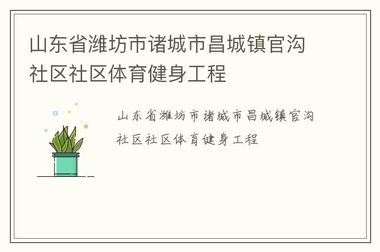山東省濰坊市諸城市昌城鎮(zhèn)官溝社區(qū)社區(qū)體育健身工程