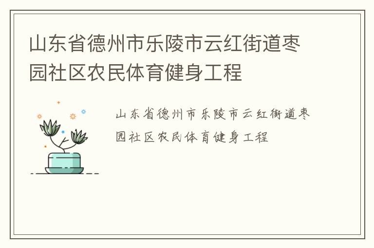 山東省德州市樂(lè)陵市云紅街道棗園社區(qū)農(nóng)民體育健身工程