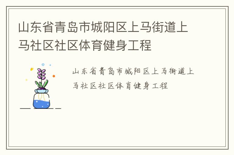 山東省青島市城陽區(qū)上馬街道上馬社區(qū)社區(qū)體育健身工程