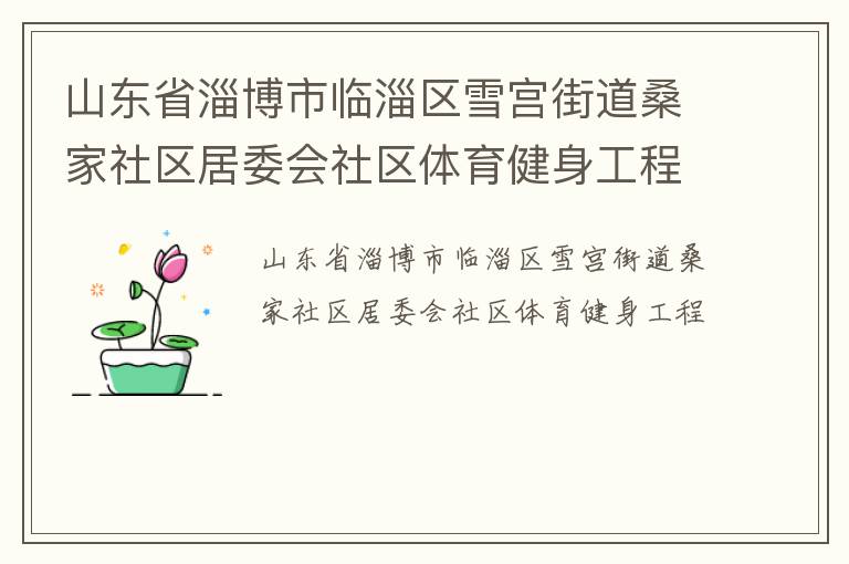 山東省淄博市臨淄區(qū)雪宮街道桑家社區(qū)居委會(huì)社區(qū)體育健身工程
