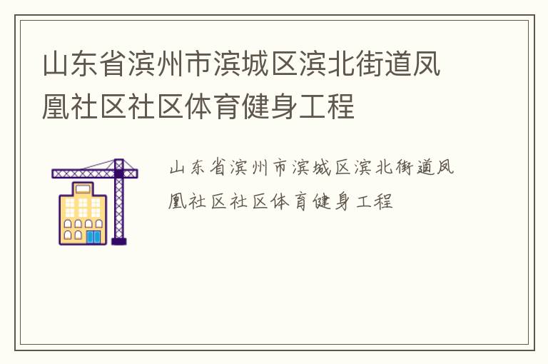 山東省濱州市濱城區(qū)濱北街道鳳凰社區(qū)社區(qū)體育健身工程