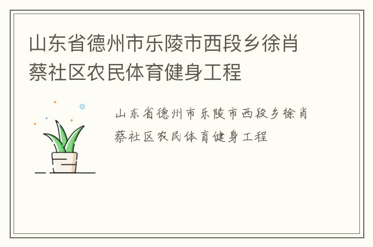 山東省德州市樂陵市西段鄉(xiāng)徐肖蔡社區(qū)農民體育健身工程