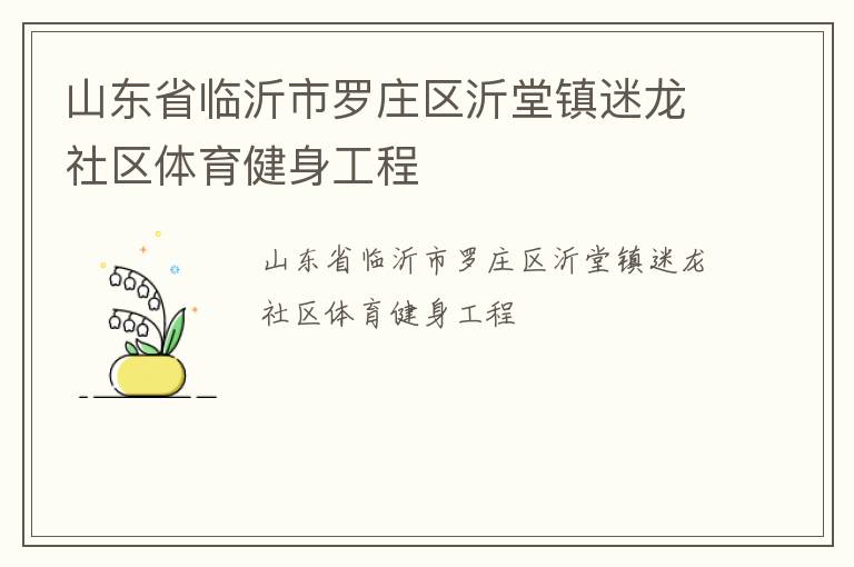 山東省臨沂市羅莊區(qū)沂堂鎮(zhèn)迷龍社區(qū)體育健身工程