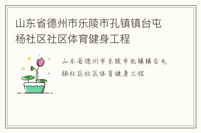 山東省德州市樂陵市孔鎮(zhèn)鎮(zhèn)臺(tái)屯楊社區(qū)社區(qū)體育健身工程