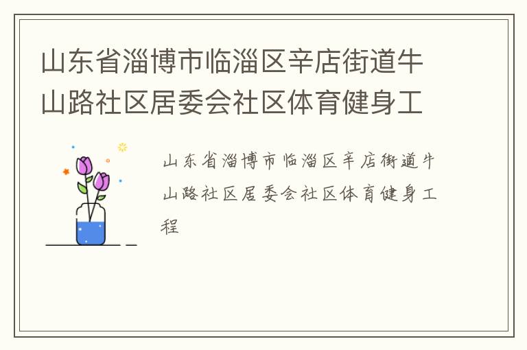 山東省淄博市臨淄區(qū)辛店街道牛山路社區(qū)居委會社區(qū)體育健身工程