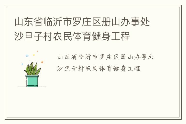 山東省臨沂市羅莊區(qū)冊山辦事處沙旦子村農民體育健身工程