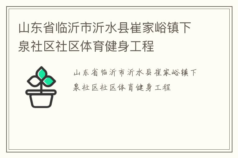 山東省臨沂市沂水縣崔家峪鎮(zhèn)下泉社區(qū)社區(qū)體育健身工程