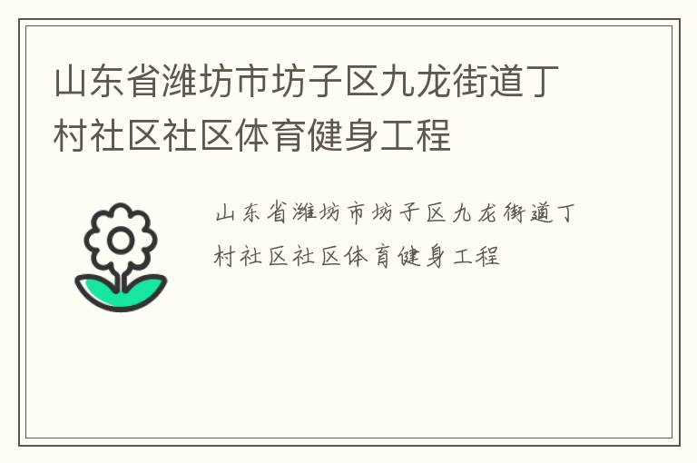 山東省濰坊市坊子區(qū)九龍街道丁村社區(qū)社區(qū)體育健身工程