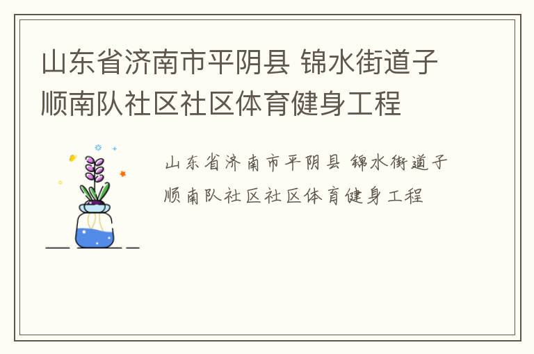 山東省濟(jì)南市平陰縣 錦水街道子順南隊社區(qū)社區(qū)體育健身工程