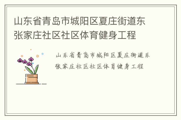 山東省青島市城陽區(qū)夏莊街道東張家莊社區(qū)社區(qū)體育健身工程
