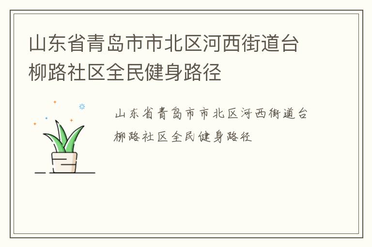山東省青島市市北區(qū)河西街道臺(tái)柳路社區(qū)全民健身路徑