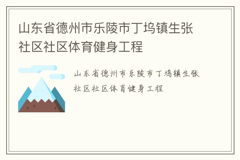 山東省德州市樂陵市丁塢鎮(zhèn)生張社區(qū)社區(qū)體育健身工程
