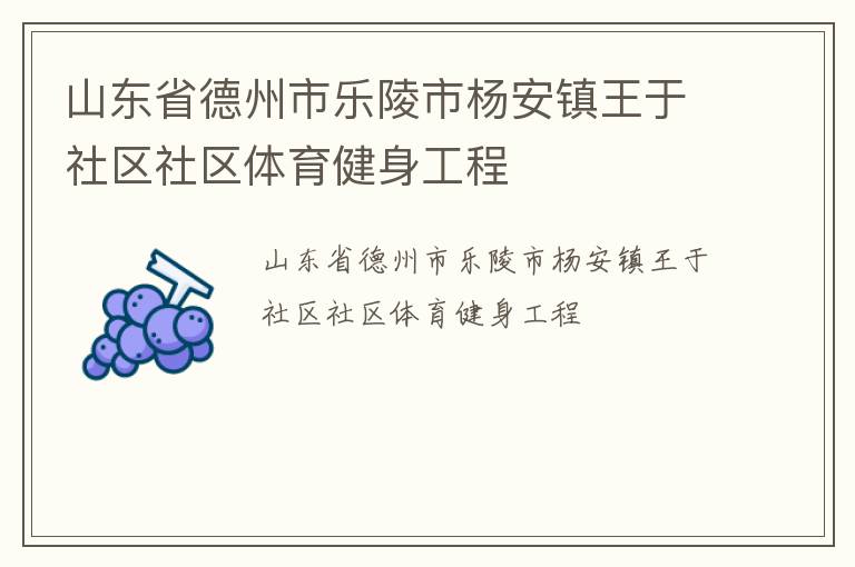 山東省德州市樂陵市楊安鎮(zhèn)王于社區(qū)社區(qū)體育健身工程