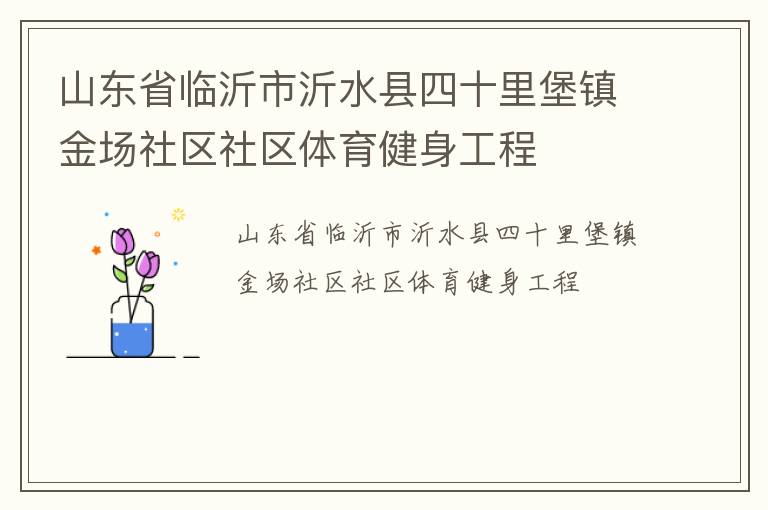 山東省臨沂市沂水縣四十里堡鎮(zhèn)金場(chǎng)社區(qū)社區(qū)體育健身工程
