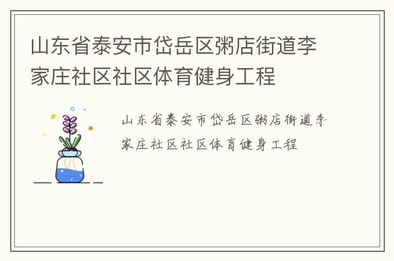 山東省泰安市岱岳區(qū)粥店街道李家莊社區(qū)社區(qū)體育健身工程