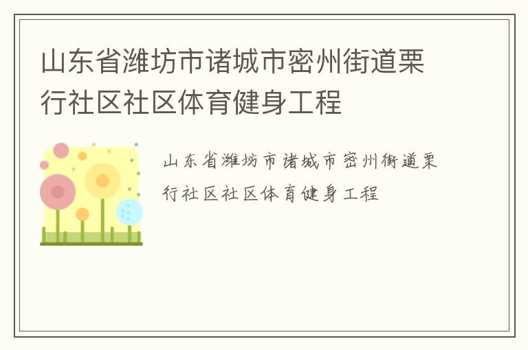 山東省濰坊市諸城市密州街道栗行社區(qū)社區(qū)體育健身工程