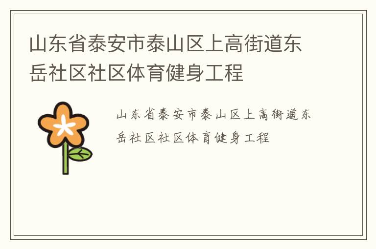 山東省泰安市泰山區(qū)上高街道東岳社區(qū)社區(qū)體育健身工程