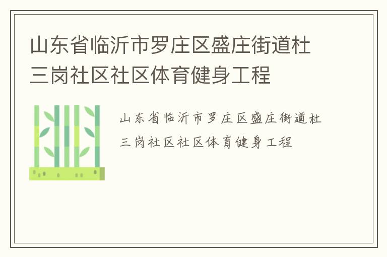 山東省臨沂市羅莊區(qū)盛莊街道杜三崗社區(qū)社區(qū)體育健身工程