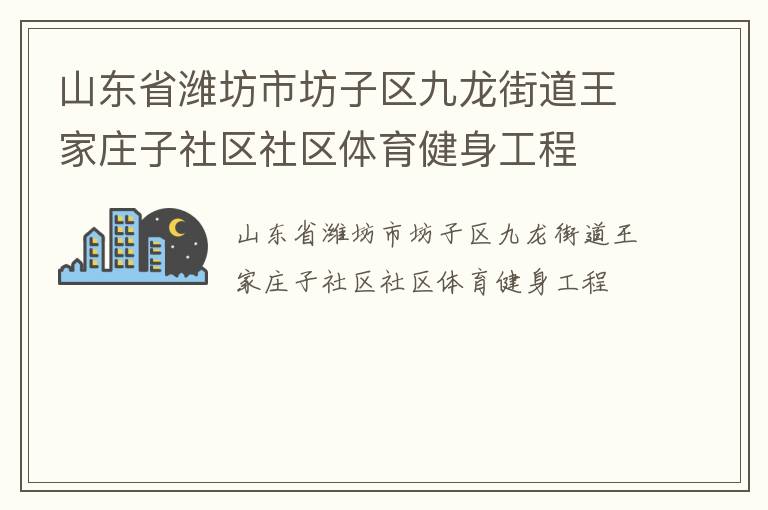 山東省濰坊市坊子區(qū)九龍街道王家莊子社區(qū)社區(qū)體育健身工程