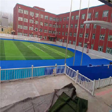 河北千力QL 塑膠跑道 厚度可定制 混合型塑膠跑道 epdm塑膠跑道 包驗(yàn)收