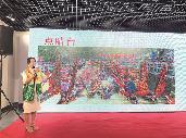 創(chuàng)新導賞服務 講好家鄉(xiāng)故事