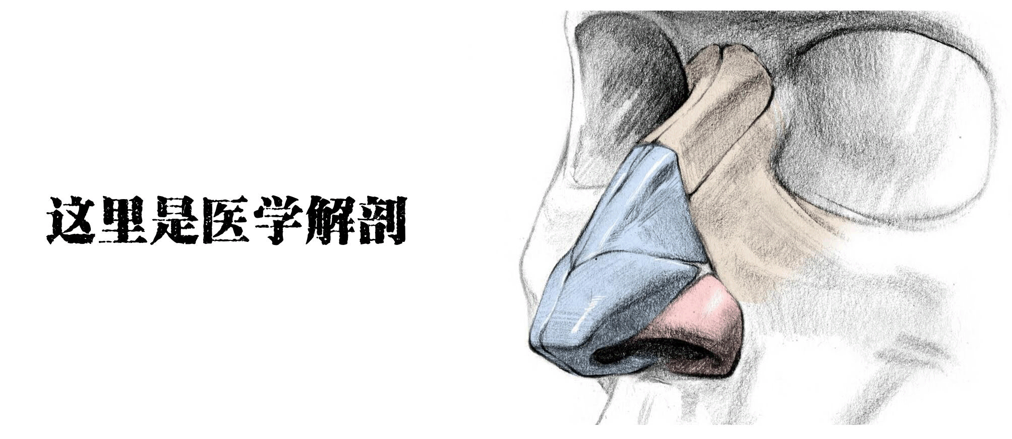 醫(yī)學生的考試到底有多難？看把學生都逼成啥樣了
