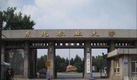兩校合并，黑龍江將迎來(lái)一所新大學(xué)？教育廳有明確回復(fù)，值得期待