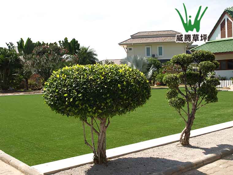 威騰德國(guó)景觀(guān)綠化人造草坪