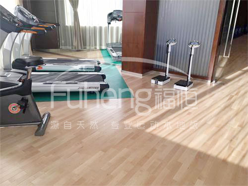 <a href=http://www.yingdedao.com target=_blank class=infotextkey>健身</a>房木地板-10fd