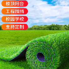 人造草坪價(jià)格 人造草坪批發(fā) 人造草坪廠家