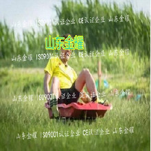 北京利達環(huán)保無毒丙烯酸球場材環(huán)保 體育設(shè)施材料 硅pu球場塑膠跑道老人院健身體育器材 體育游樂設(shè)施 體育健身器材供應(yīng)商